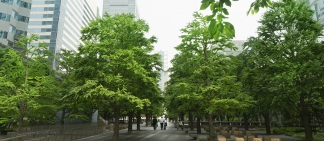 business, office, commuters, urban, city, modern, professional services, work, finance, audit, accounting, trees, eco, nature