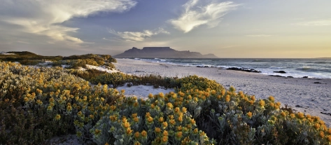 nature, beach, sea, sand, weather, sun, plants, greenery, outdoors, cloudy