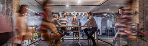 Phases of a human rights programme header image