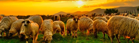 1600 x 500 - TAX.png