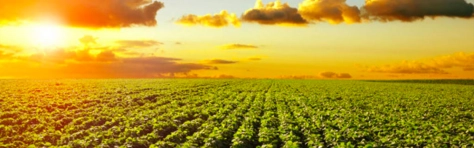 202108 - Tax - 1600x500.png