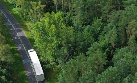 Global mobility services