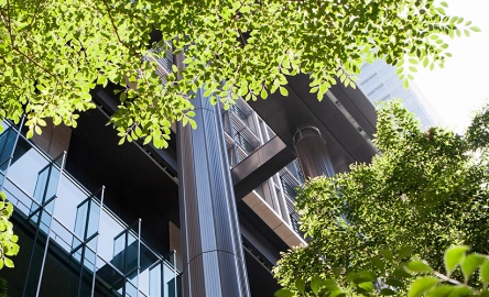 Understanding COP 29 – The global climate conference