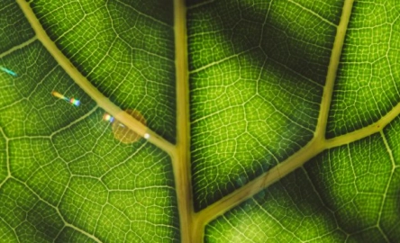 Sustainability reporting without the CSRD: getting started with the VS Standard