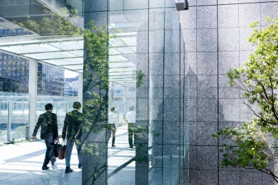 Individual accountability framework (IAF)