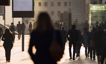 2025 Employer Share Scheme reporting