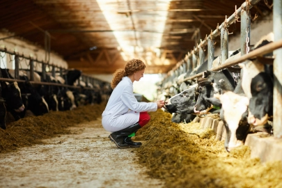 Leasing farmland: securing tax relief while protecting long-term value
