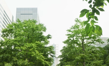 Résilience, diversification et vision long terme