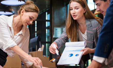 meeting, looking at data and reports