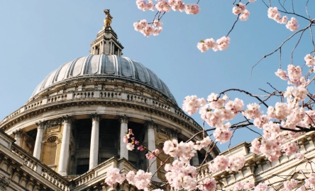 Voorjaarsnota 2025: fiscale maatregelen