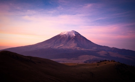 The new Voluntary Sustainability Reporting Standard: what businesses need to know