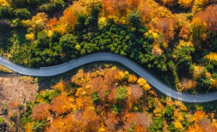 Header Page Etude Fiscalité.E 