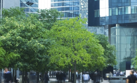 image fiscalite locale