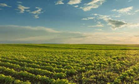 1600x500 Header Biométhane