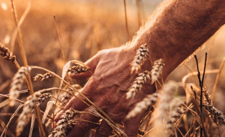 Values 1600 per 500.jpg