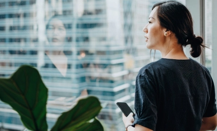 OECD transfer pricing