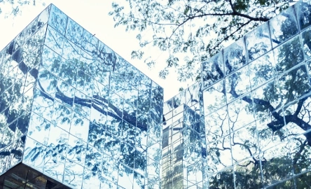 1. Audit and Assurance .jpg