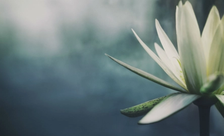 Our value 5 1600 per 900px.jpg