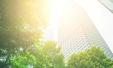 Business for good 1600 per 500.jpg