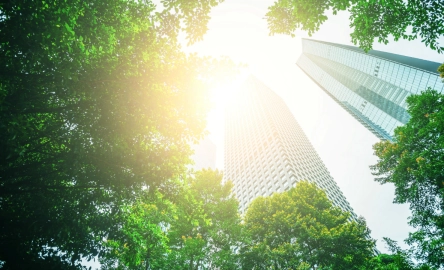 Business for good 1600 per 900.jpg