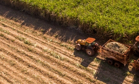 Food and Beverage 2 1600 per 500 px.jpg