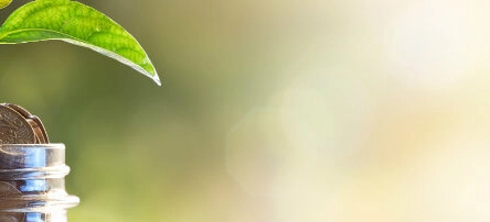 Interview avec Sébastien d'Ornano - Yomoni