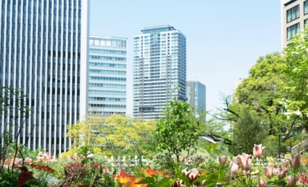 Sustainability-practices-stocktake_webpage-image_1600x500.jpg