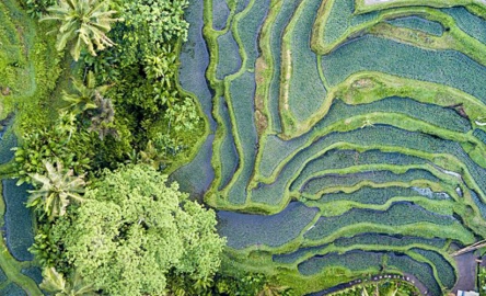 ESG servicers - Mazars in Ireland