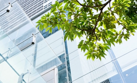 Mazars Ireland advise SeaChange Ltd on sale to NFP