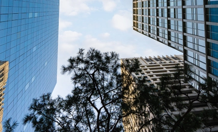 Mazars Ireland features in Business Plus 2023 tax advisors survey