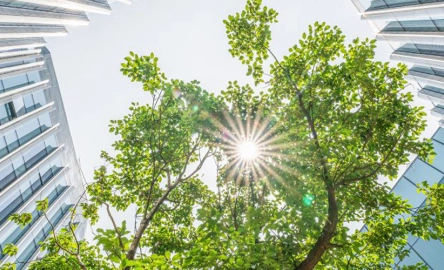 Regulators shift focus to bank’s ESG risk management - Mazars in Ireland