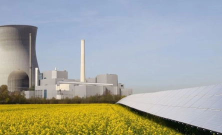 Risk frameworks for insurance undertakings - Mazasr in Ireland