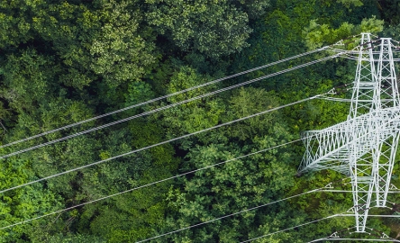 Mazars Ireland VAT news for 2024