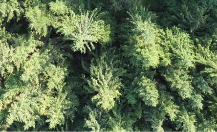 Technology & Sustainability_page.jpg