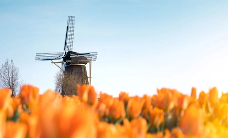 Banner Mazars in Nederland