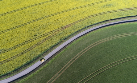 Vierluik T&L continuïteit