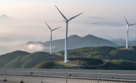 Buitenlandse btw terugvorderen