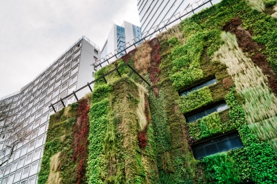 Sustainability services2