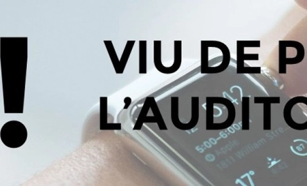 auditor por un dia banner