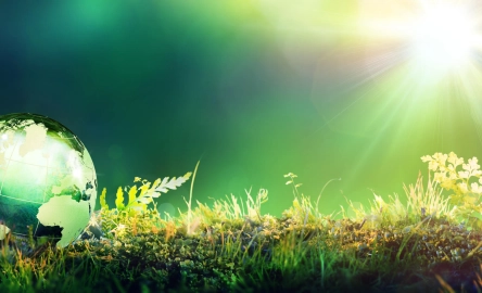 Sostenibilidad; Regulación; Mazars; Buen Gobierno