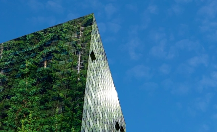 Tackling climate change - 1600X500