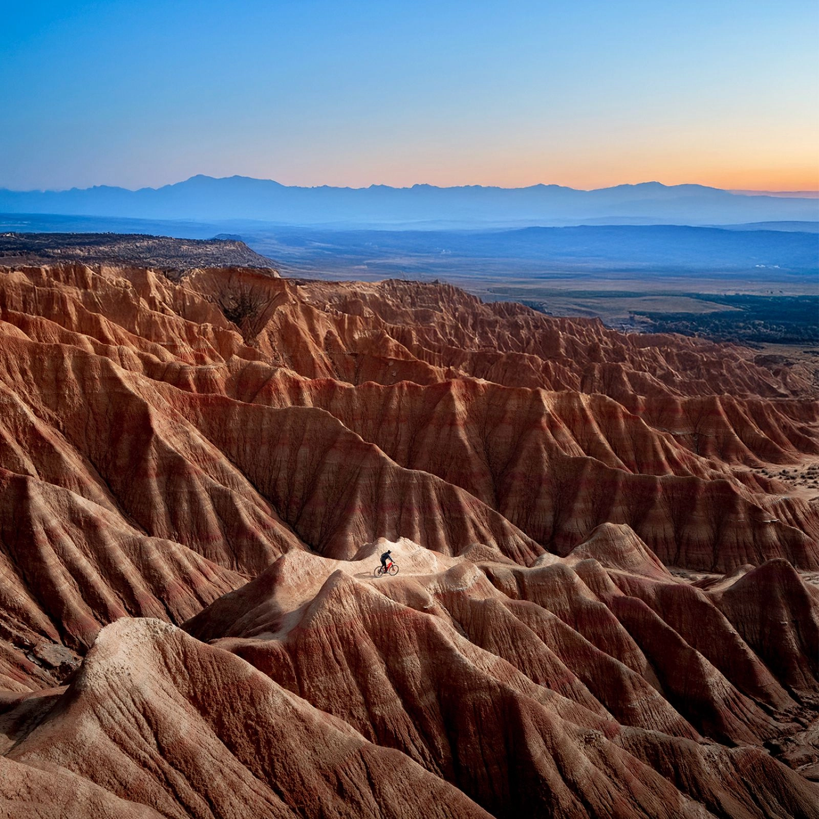 C-suite barometer 2026: Adapting in uncertainty