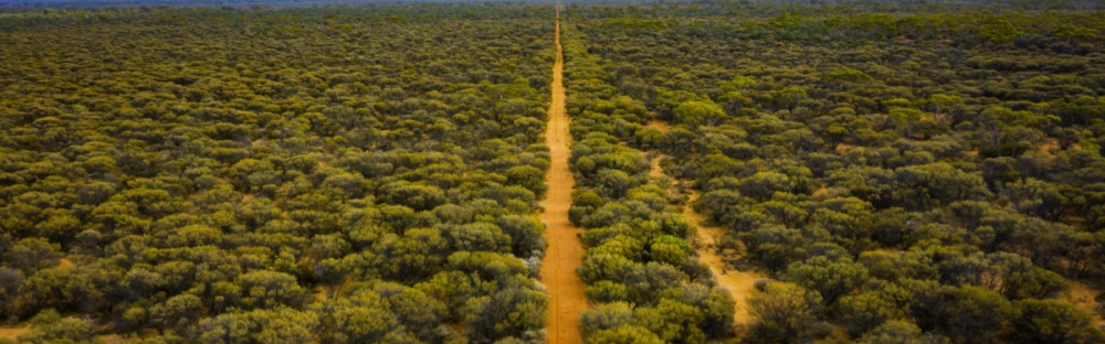 2419aae370b6-GettyImages-1136715412-2-1200x799.jpg.webp 2419aae370b6-GettyImages-1136715412-2-1200x799.jpg.webp