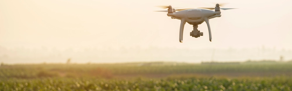 b52b91cc9efd-202410_Header_Landingpage_1600-x-500_Standard_v14.jpg.webp b52b91cc9efd-202410_Header_Landingpage_1600-x-500_Standard_v14.jpg.webp