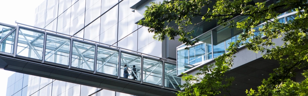 31311fb31b0f-GettyImages-451822287-2-.jpg.webp 31311fb31b0f-GettyImages-451822287-2-.jpg.webp