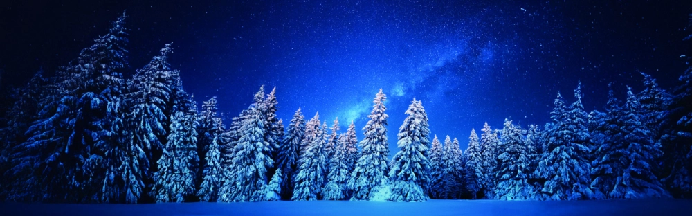 14fdf4e3e666-Greetings-2025_1600x500.jpg.webp 14fdf4e3e666-Greetings-2025_1600x500.jpg.webp