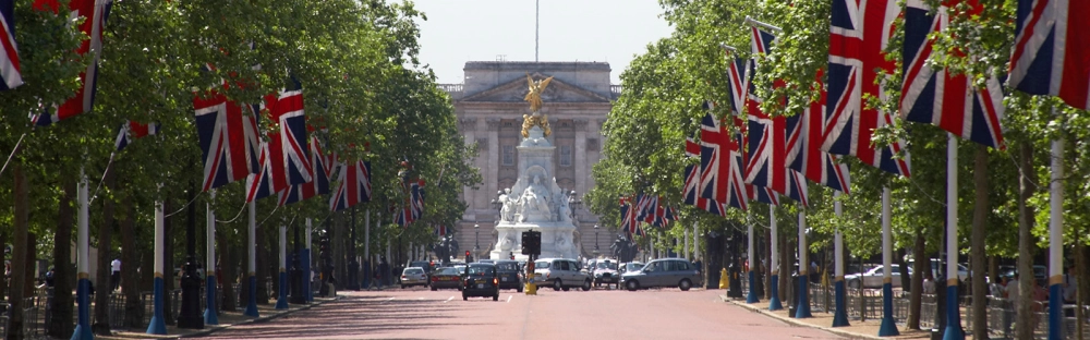 9ce31dacc162-202406_Header_Landingpage_1600-x-500_Standard_v2.jpg.webp 9ce31dacc162-202406_Header_Landingpage_1600-x-500_Standard_v2.jpg.webp