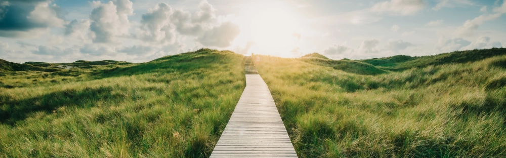 d0439212715a-GettyImages-1200175476-2.jpg.webp d0439212715a-GettyImages-1200175476-2.jpg.webp