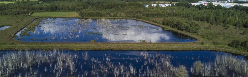 babc7da09ddd-GettyImages-881969640-1200x900-1-.jpg.webp babc7da09ddd-GettyImages-881969640-1200x900-1-.jpg.webp