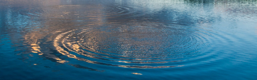 e4b2d3d7d83b-202511_Header_Landingpage_1600x500_Standard_v12.jpg.webp e4b2d3d7d83b-202511_Header_Landingpage_1600x500_Standard_v12.jpg.webp